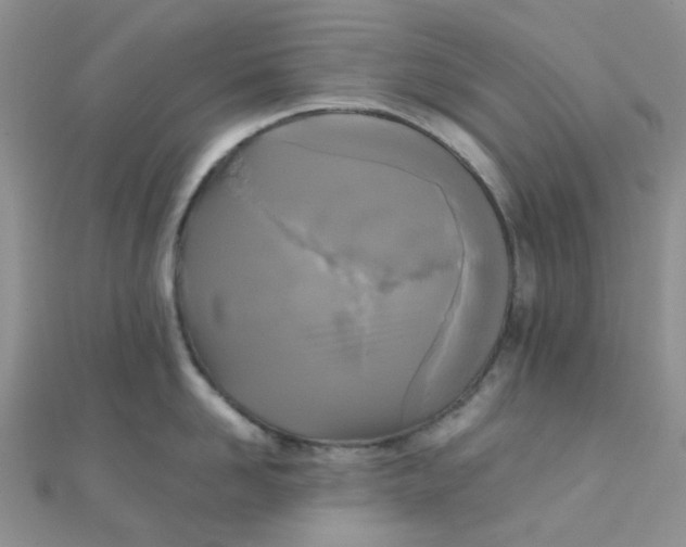 X0000110320958200906042041