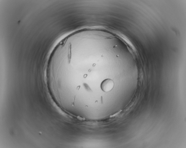 X0000110320959200906042041