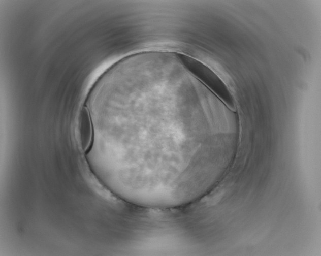 X0000110320960200906042041