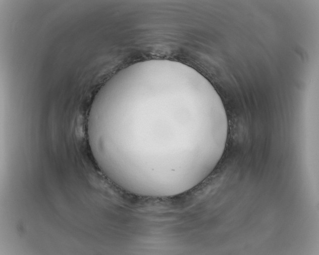 X0000110320962200906042040