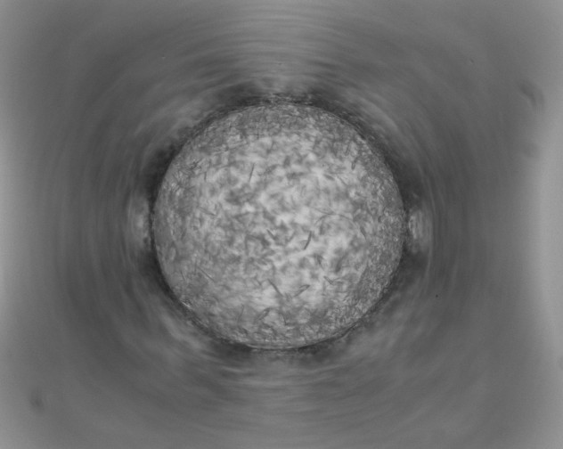 X0000110320963200906042040