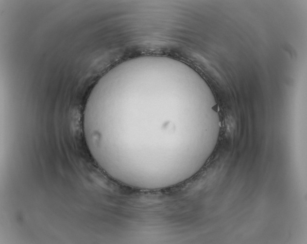 X0000110320964200906042040