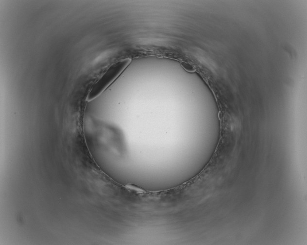 X0000110320965200906042040