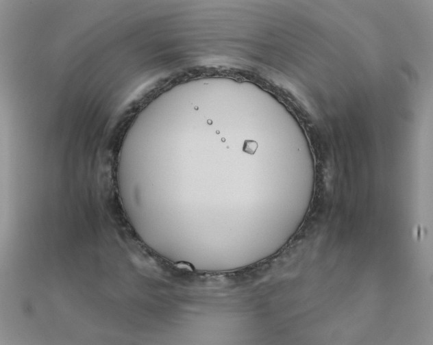 X0000110320968200906042040