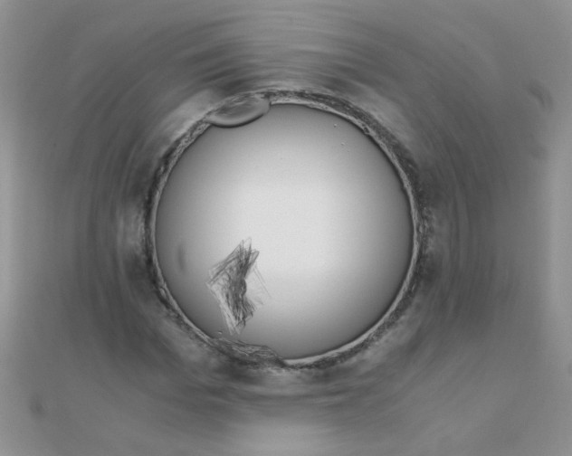 X0000110320969200906042040