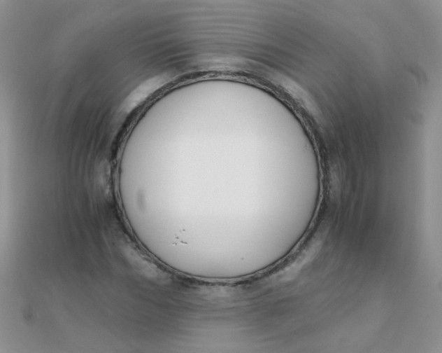 X0000110320970200906042040