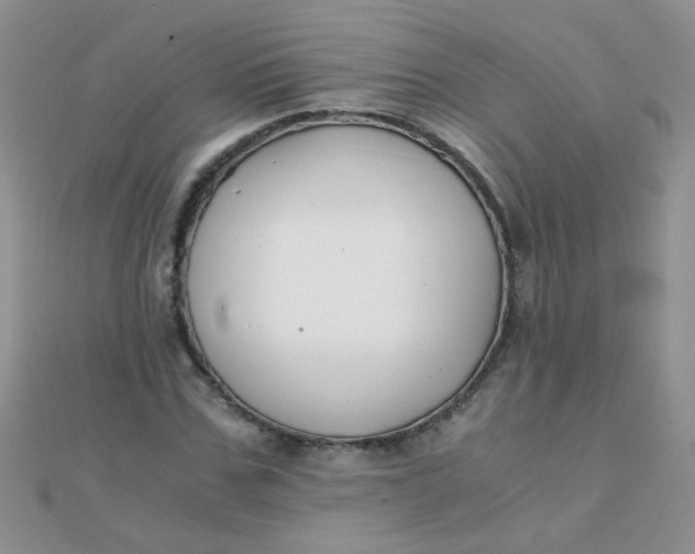 X0000110320971200906042040