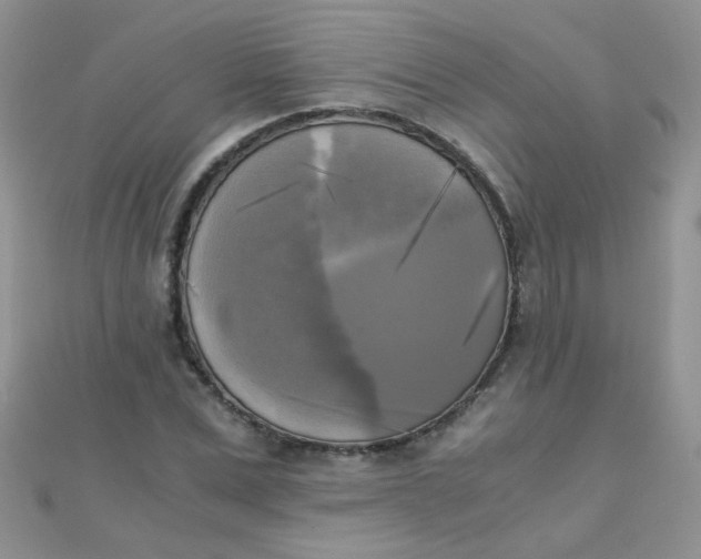 X0000110320975200906042040