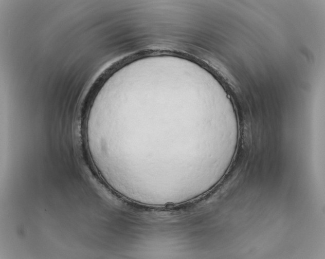 X0000110320976200906042040