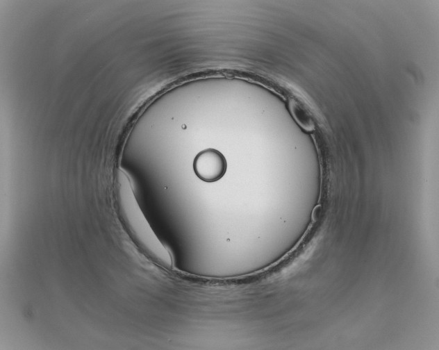 X0000110320977200906042040