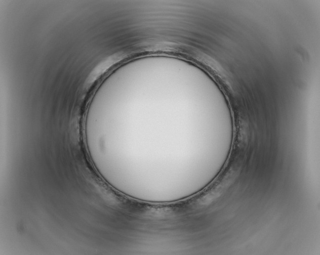 X0000110320978200906042040