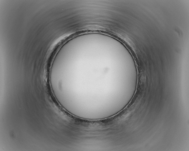 X0000110320979200906042040