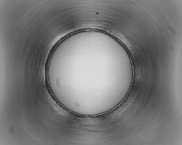 X0000110320980200906042040