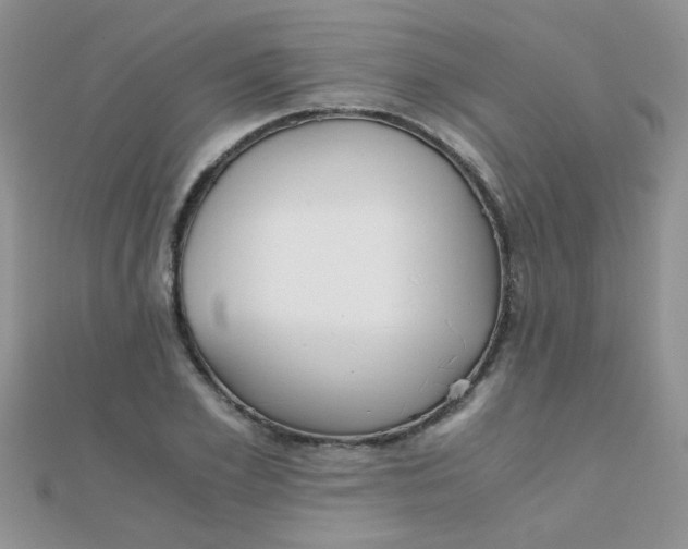 X0000110320981200906042040