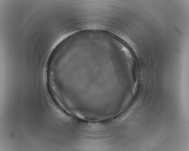 X0000110320983200906042040