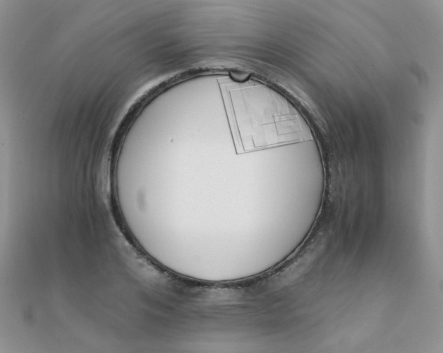 X0000110320984200906042040