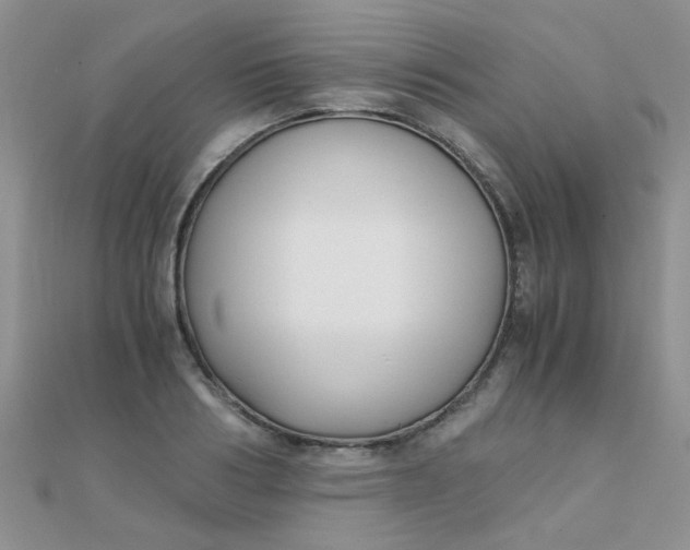 X0000110320986200906042040