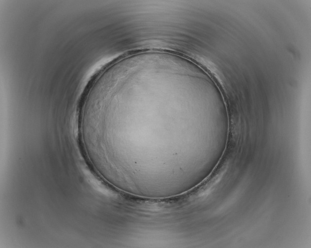 X0000110320987200906042040