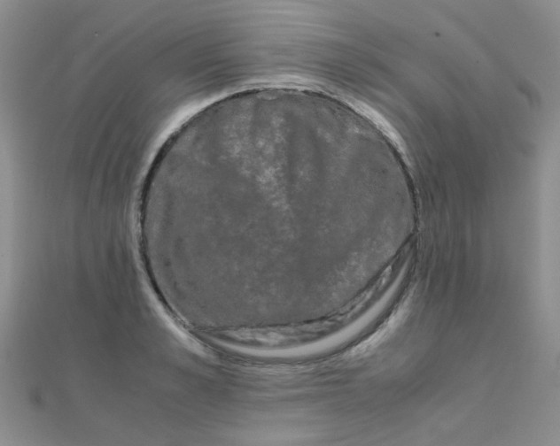 X0000110320989200906042040