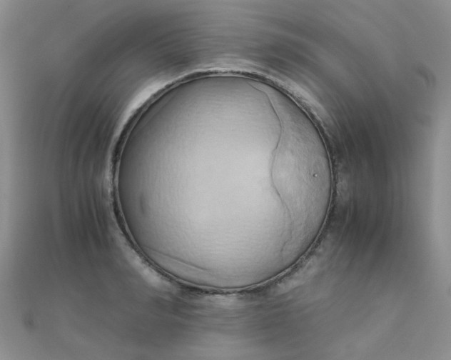 X0000110320990200906042040