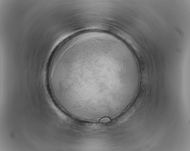 X0000110320991200906042040