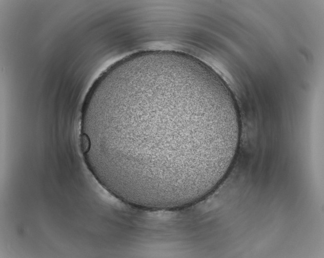 X0000110320992200906042040