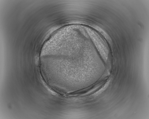 X0000110320993200906042040