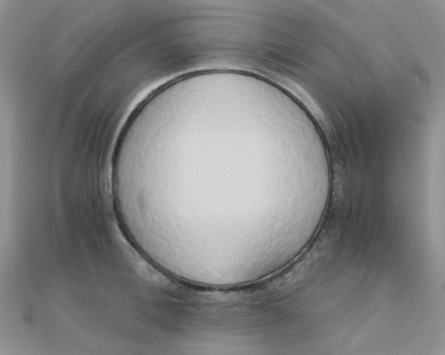 X0000110320996200906042040