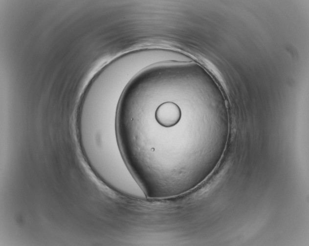 X0000110320997200906042040