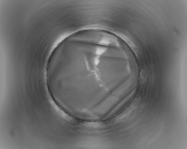 X0000110320998200906042040