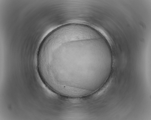 X0000110320999200906042040