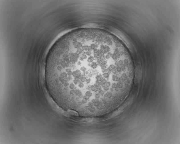 X0000110321000200906042040