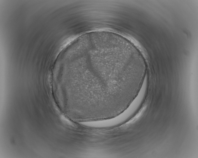 X0000110321001200906042040