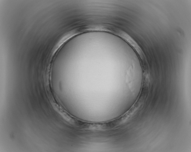 X0000110321002200906042040