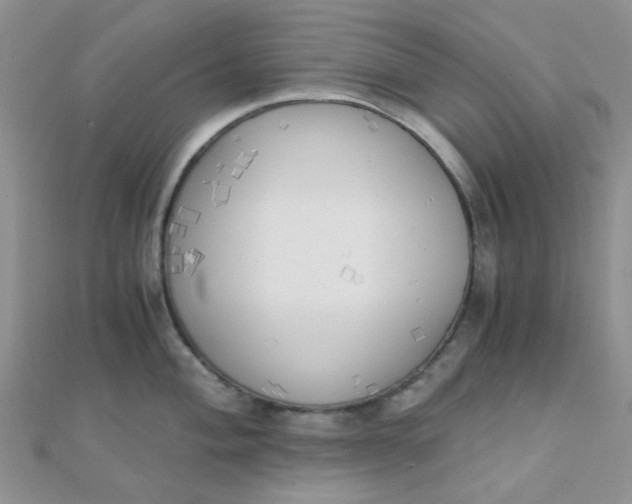 X0000110321004200906042040