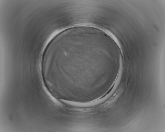 X0000110321005200906042040