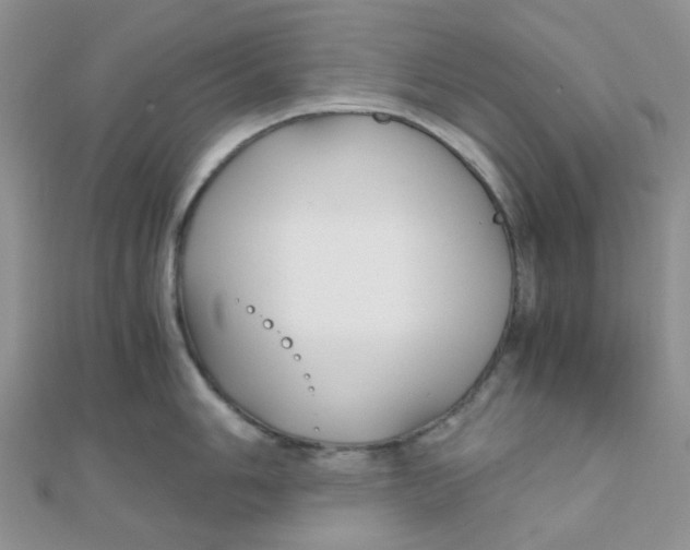 X0000110321006200906042040