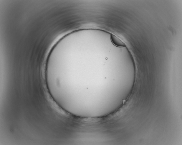 X0000110321008200906042040