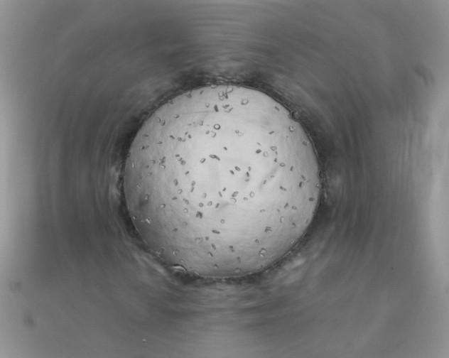 X0000110321010200906042039