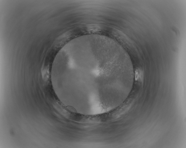 X0000110321011200906042039