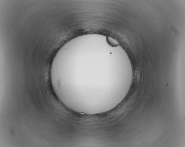 X0000110321012200906042039