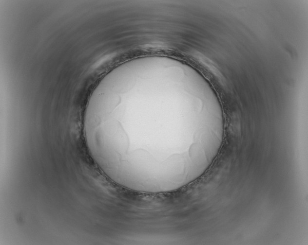 X0000110321015200906042039