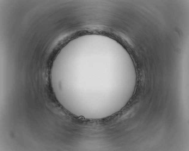 X0000110321016200906042039