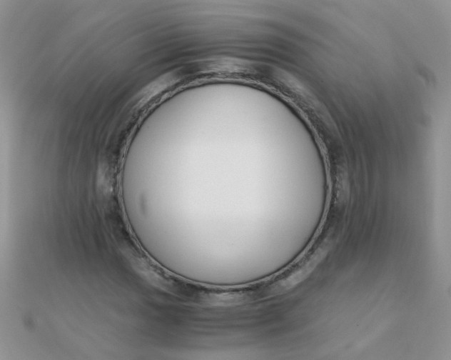 X0000110321017200906042039