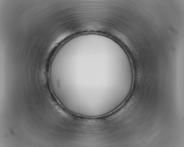 X0000110321018200906042039