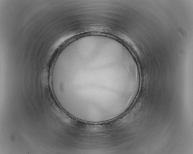 X0000110321019200906042039