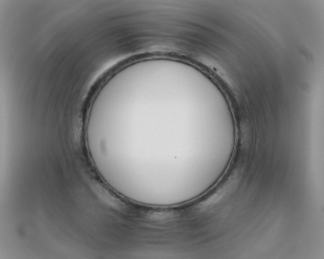 X0000110321021200906042039