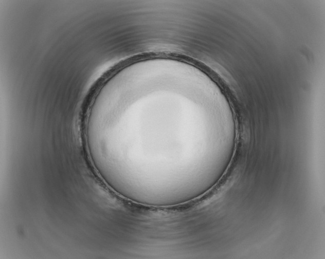 X0000110321022200906042039