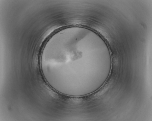 X0000110321023200906042039