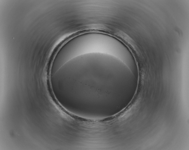 X0000110321024200906042039